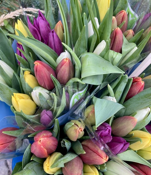 Hovedbilde Tulipanbukett mix farger